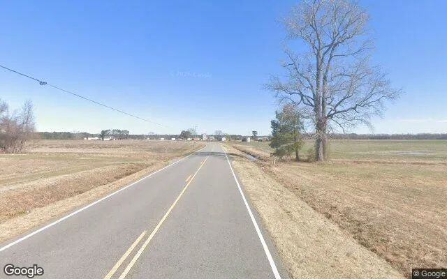 Decorative background for 121 Acres in Robersonville - Martin County, NC image 6