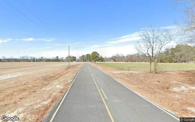 Decorative background for 0.62 Acres in Bladenboro - Bladen County, NC image 5