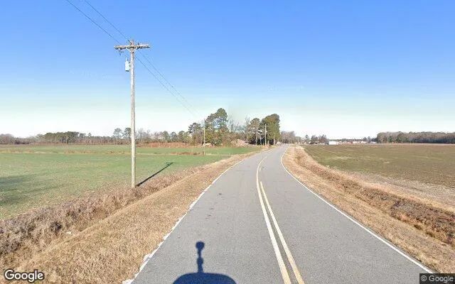 Decorative background for 17.9 Acres in Greene - Greene County, NC image 6