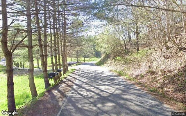 Decorative background for 3.52 Acres in Burnsville - Yancey County, NC image 6