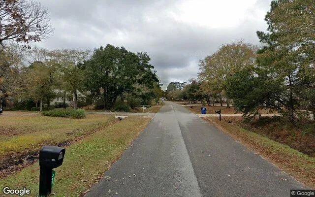 Decorative background for 0.48 Acres in Hampstead - Pender County, NC image 5