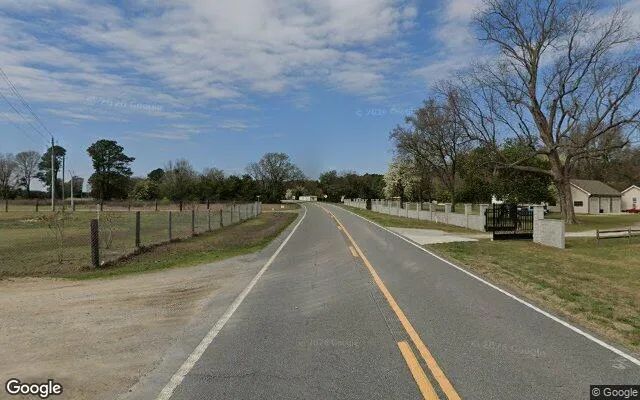 Decorative background for 0.51 Acres in Seven Springs - Lenoir County, NC image 6
