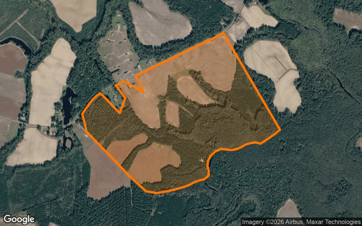 310.27 Acres in Williamston - Martin County, NC - Main image