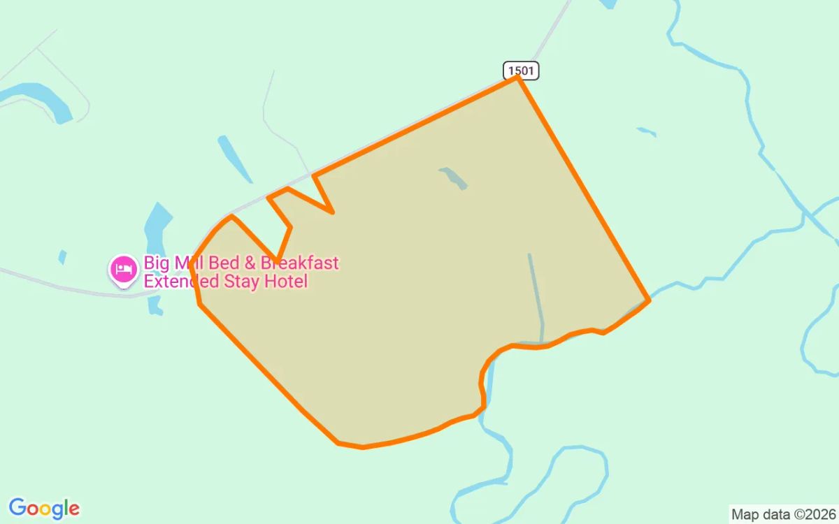 310.27 Acres in Williamston - Martin County, NC - Image 2