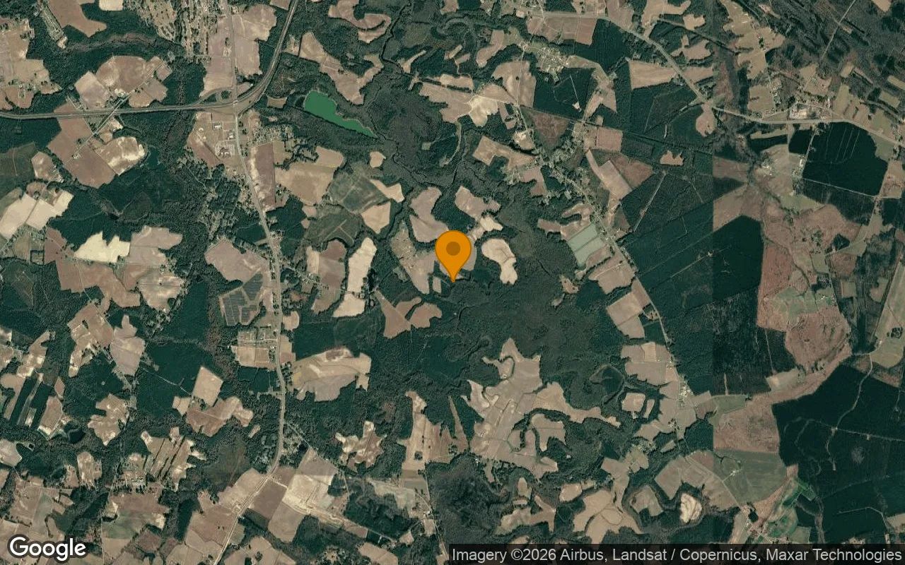 310.27 Acres in Williamston - Martin County, NC in Martin County, NC