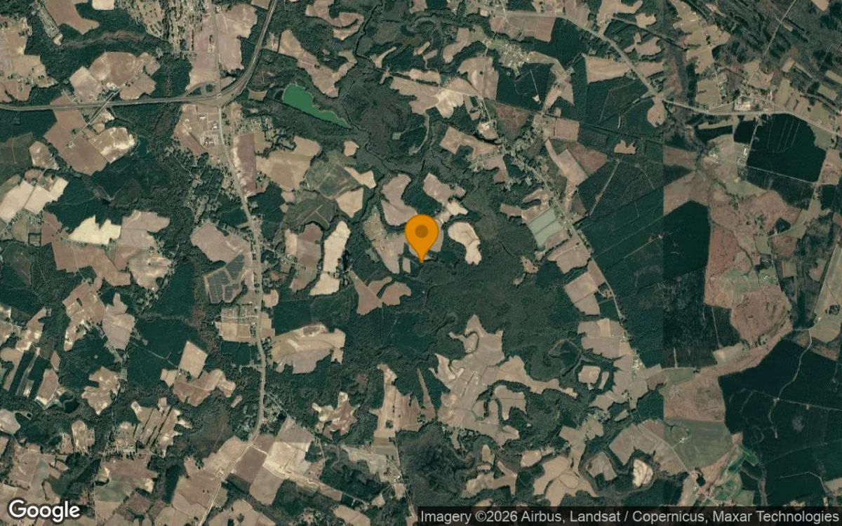 310.27 Acres in Williamston - Martin County, NC - Image 3