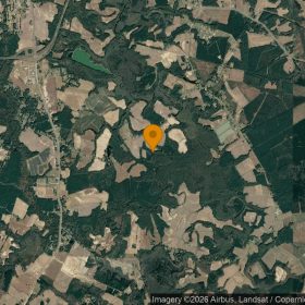 310.27 Acres in Williamston - Martin County, NC in Martin County, NC