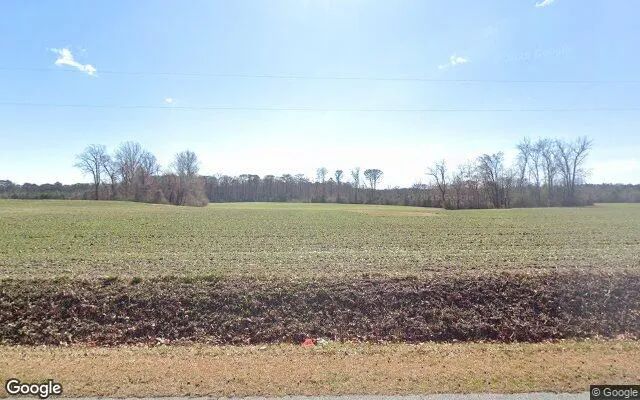310.27 Acres in Williamston - Martin County, NC - Image 4