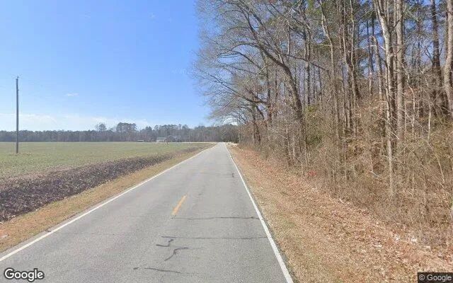 Decorative background for 310.27 Acres in Williamston - Martin County, NC image 6