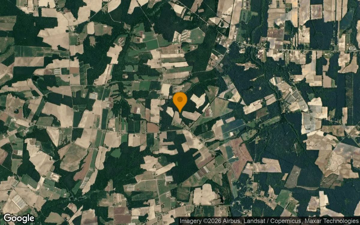 32.7 Acres in Seven Springs - Lenoir County, NC - Image 3