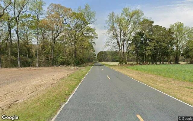 Decorative background for 32.7 Acres in Seven Springs - Lenoir County, NC image 5