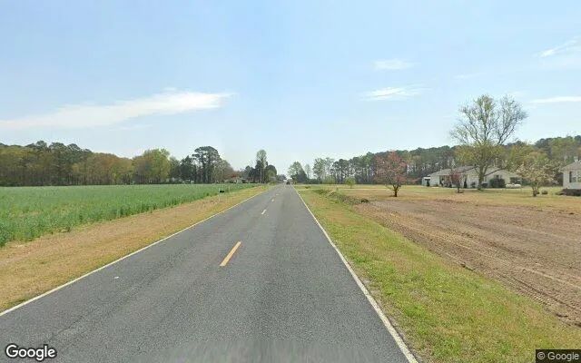 Decorative background for 32.7 Acres in Seven Springs - Lenoir County, NC image 6