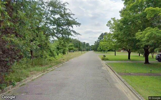 Decorative background for 0.46 Acres in Laurinburg - Scotland County, NC image 6