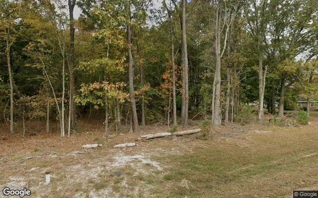 Decorative background for 0.55 Acres in Rocky Mount - Edgecombe County, NC image 6