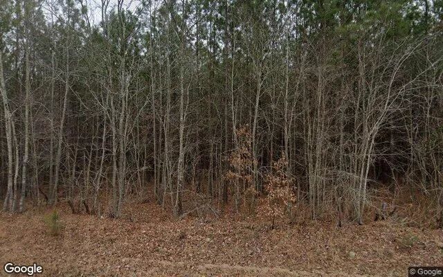 0.67 Acres in Hollister - Halifax County, NC - Image 4