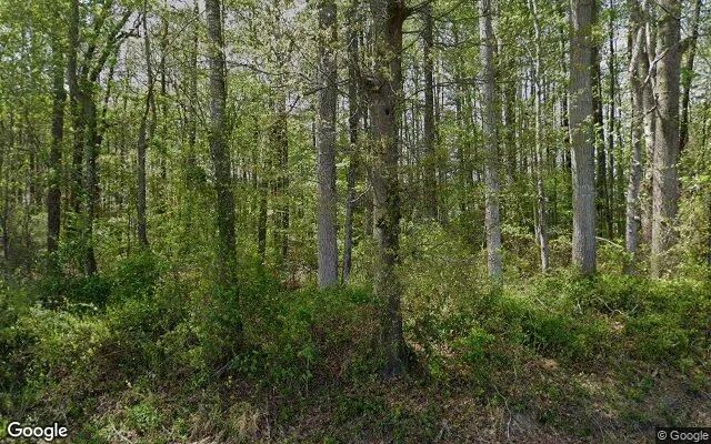Decorative background for 2.02 Acres in Windsor - Bertie County, NC image 6