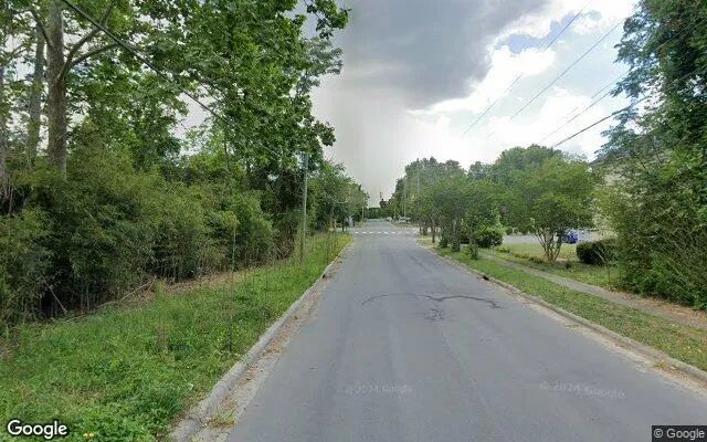 Decorative background for 0.19 Acres in Southern Pines - Moore County, NC image 6