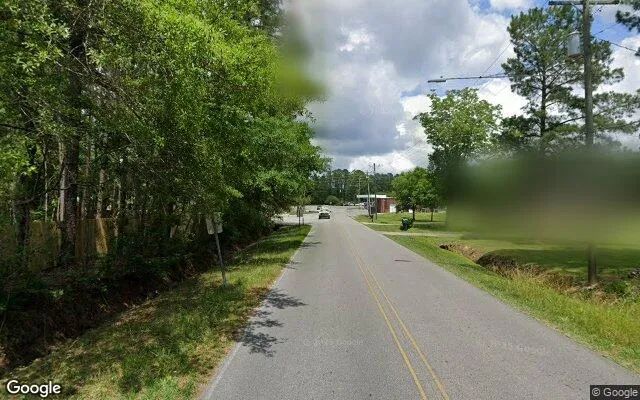 Decorative background for 0.51 Acres in Burgaw - Pender County, NC image 5