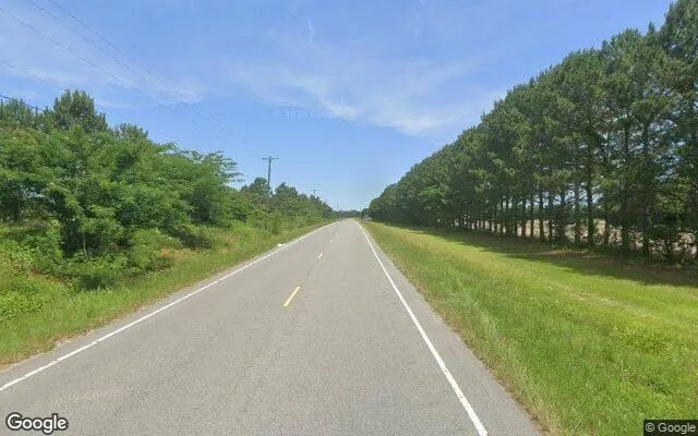 Decorative background for 0.24 Acres in Snow Hill - Greene County, NC image 6