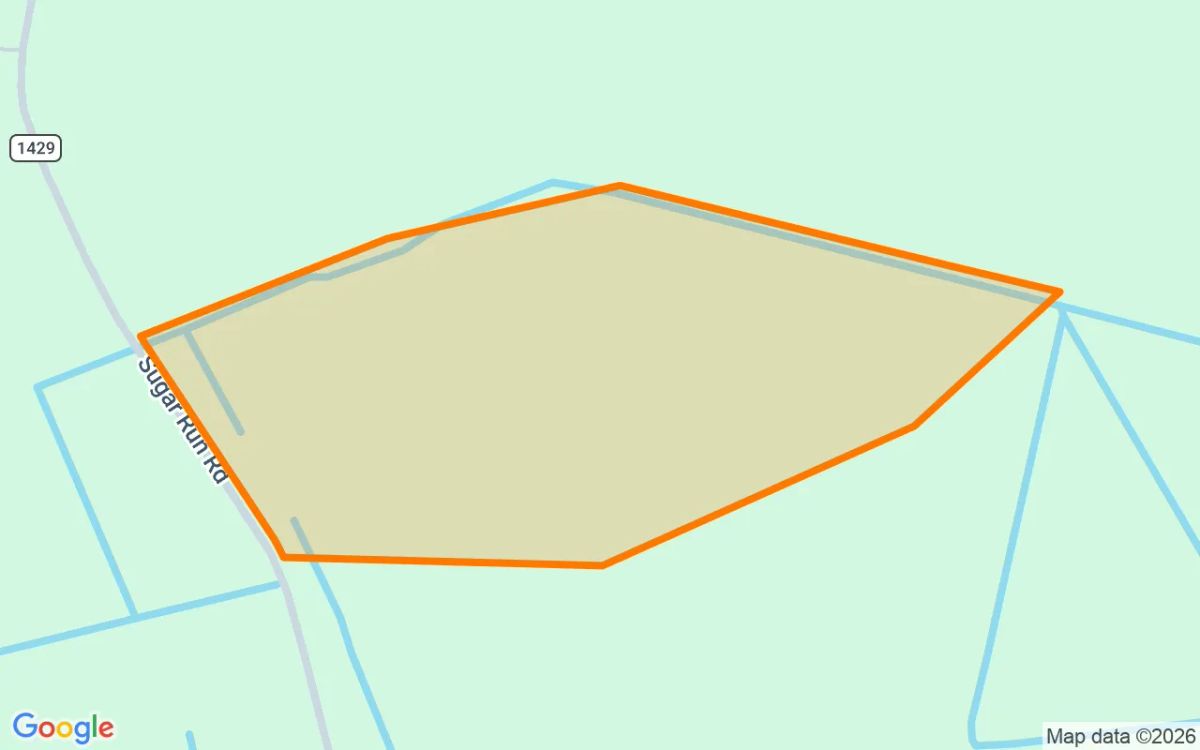 107.54 Acres in Sunbury - Gates County, NC - Image 2