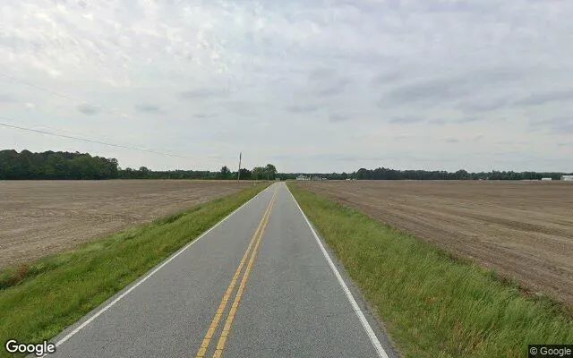 Decorative background for 107.54 Acres in Sunbury - Gates County, NC image 5