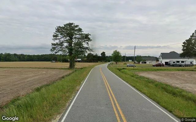 Decorative background for 107.54 Acres in Sunbury - Gates County, NC image 6