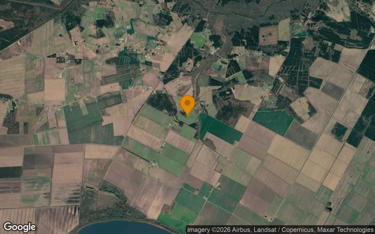 42.01 Acres in Creswell - Washington County, NC - Image 3