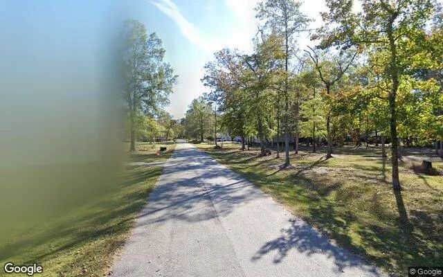 Decorative background for 0.49 Acres in Lake Waccamaw - Columbus County, NC image 6