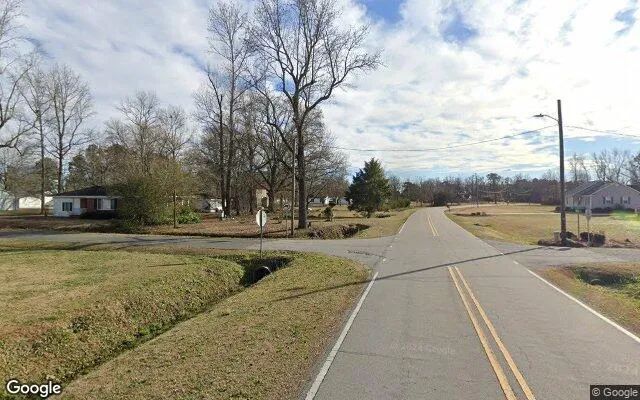 Decorative background for 0.21 Acres in Beulaville - Duplin County, NC image 6