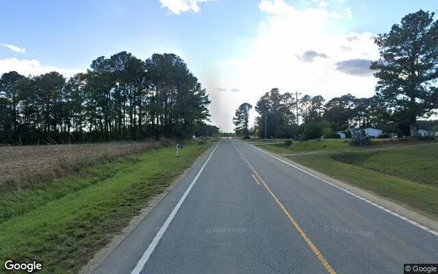 Decorative background for 3 Acres in Clarkton - Columbus County, NC image 5