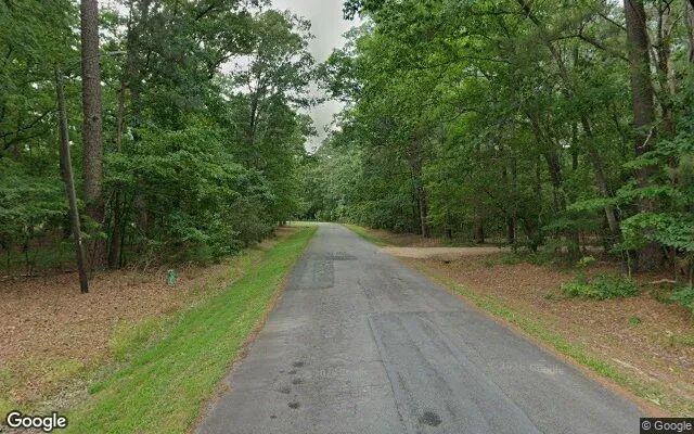 Decorative background for 1.32 Acres in Northampton - Northampton County, NC image 5