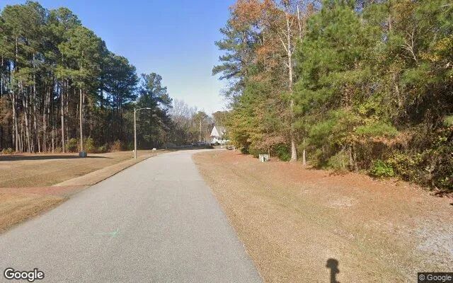Decorative background for 0.28 Acres in Tarboro - Edgecombe County, NC image 5