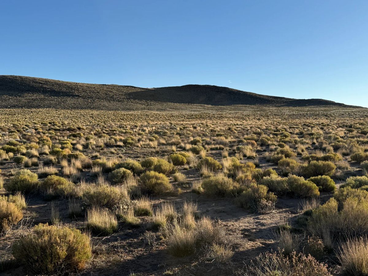 Decorative background for 4.95 Acres Near Smith Reservoir Wildlife Area image 9
