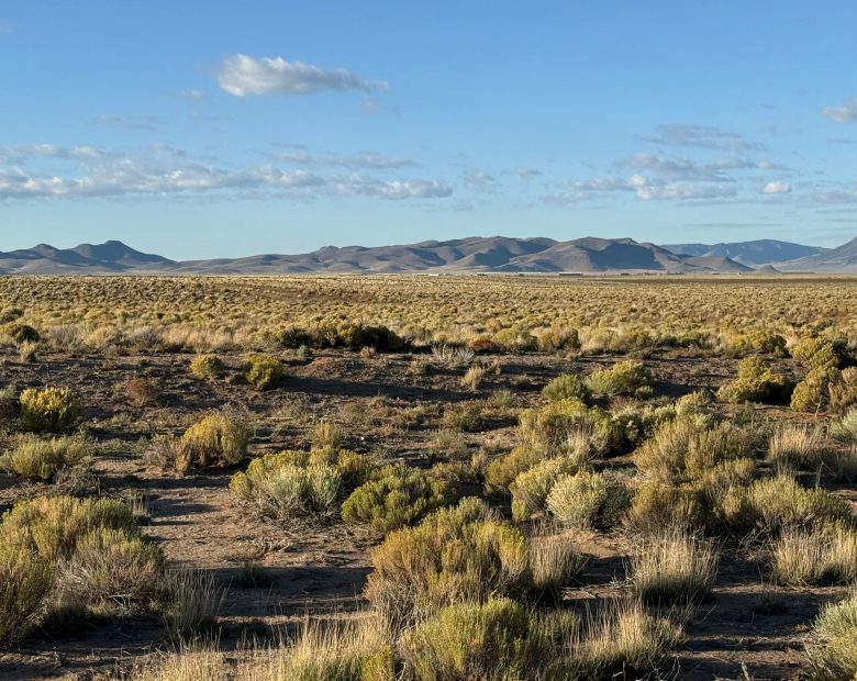 4.95 Acres Near Smith Reservoir Wildlife Area in Costilla County, CO