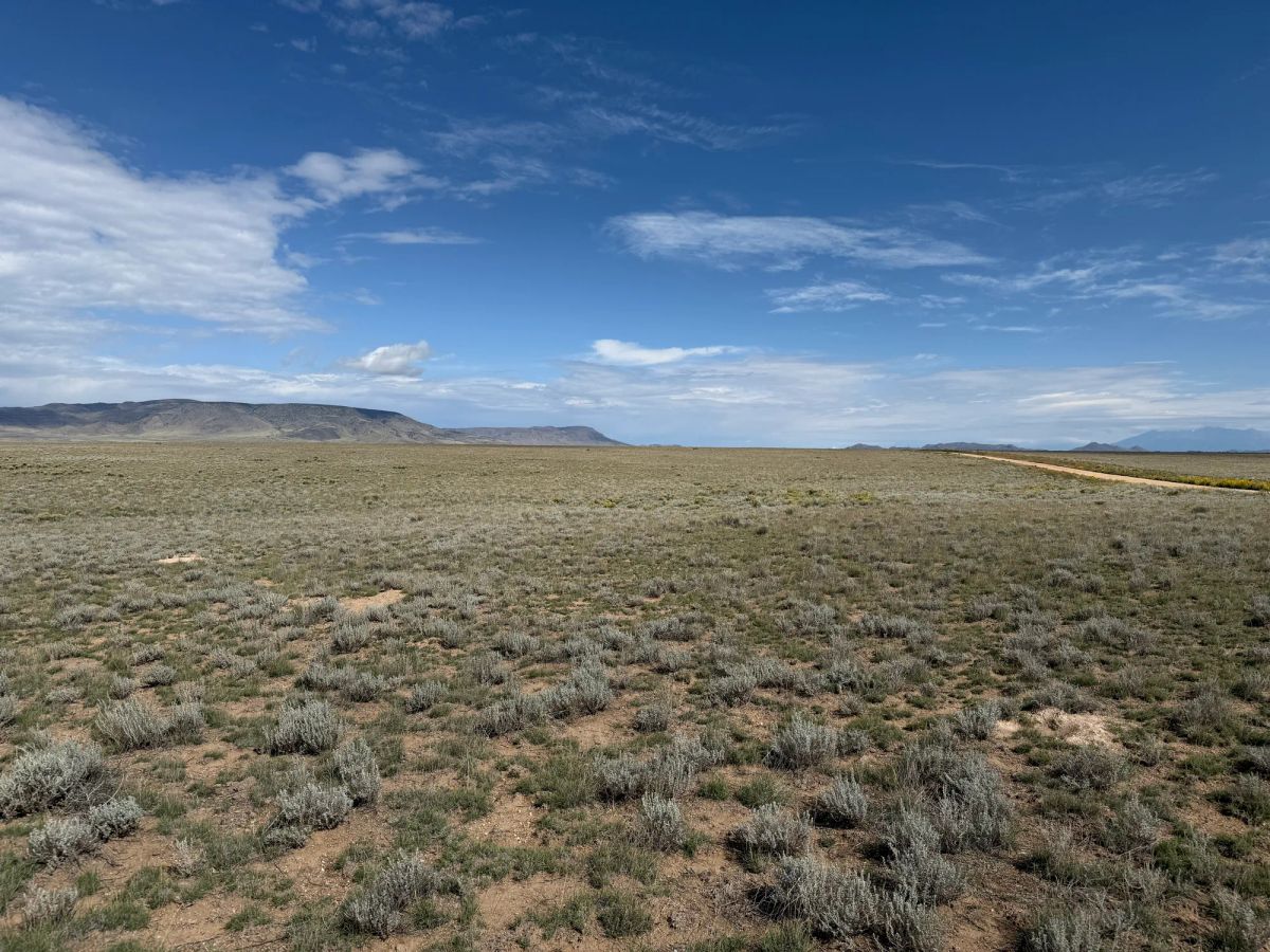 Decorative background for 5 acre Corner Lot by the Rio Grande image 18