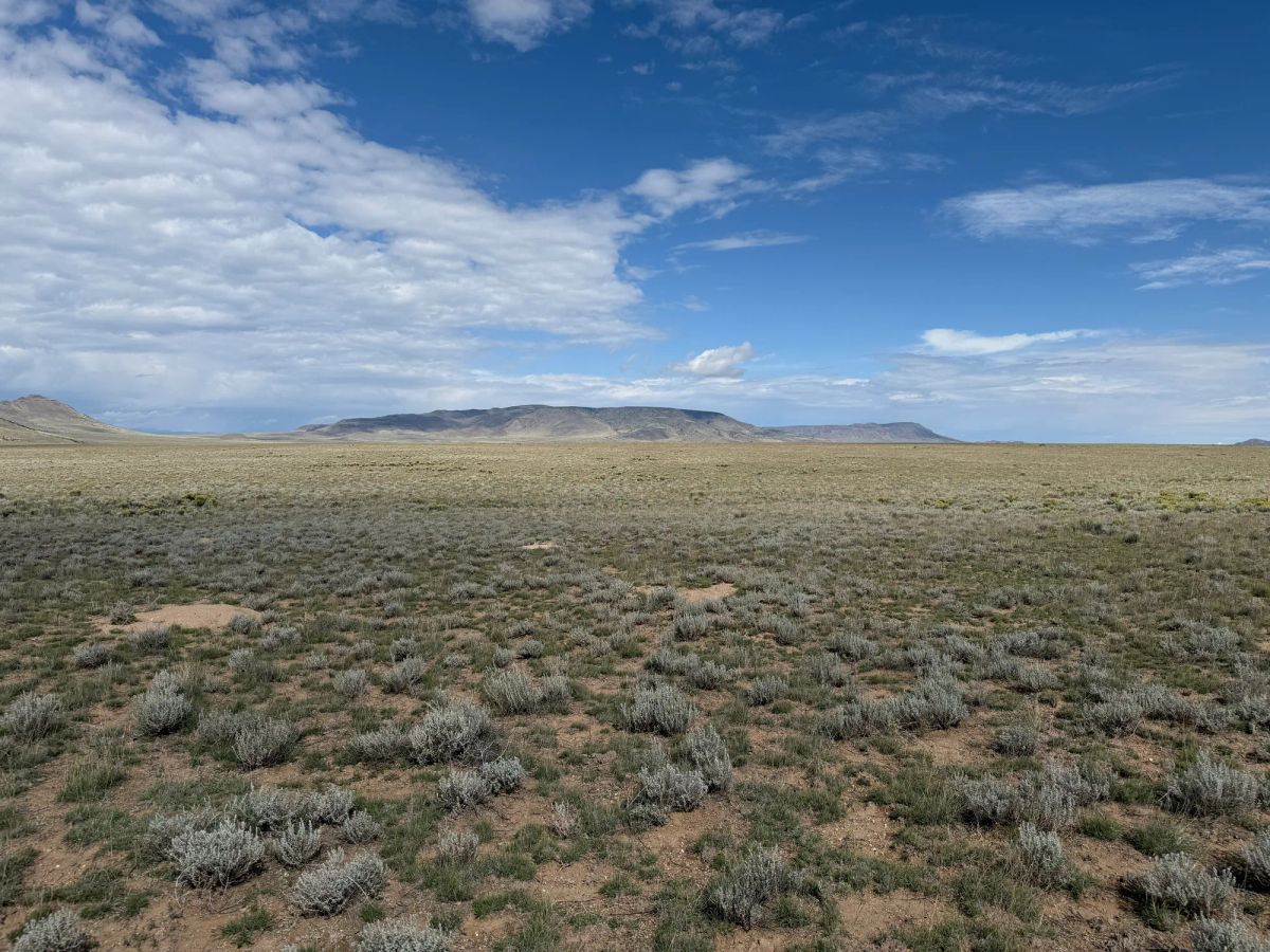 Decorative background for 5 acre Corner Lot by the Rio Grande image 19