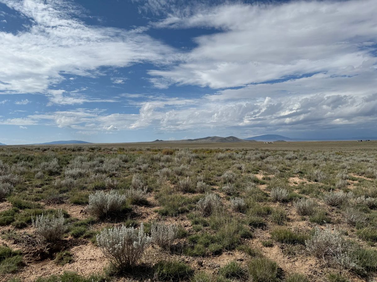 Decorative background for 5 acre Corner Lot by the Rio Grande image 20