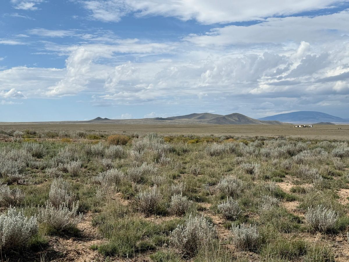 Decorative background for 5 acre Corner Lot by the Rio Grande image 21