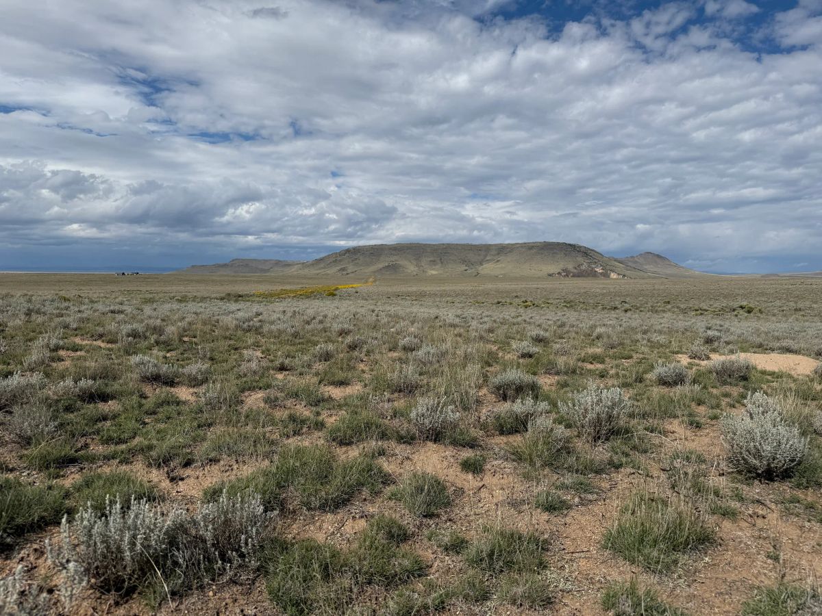 Decorative background for 5 acre Corner Lot by the Rio Grande image 22