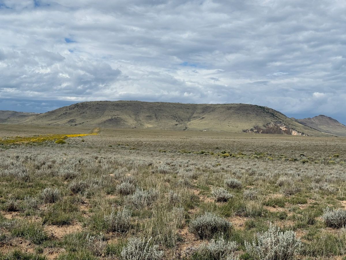 Decorative background for 5 acre Corner Lot by the Rio Grande image 23