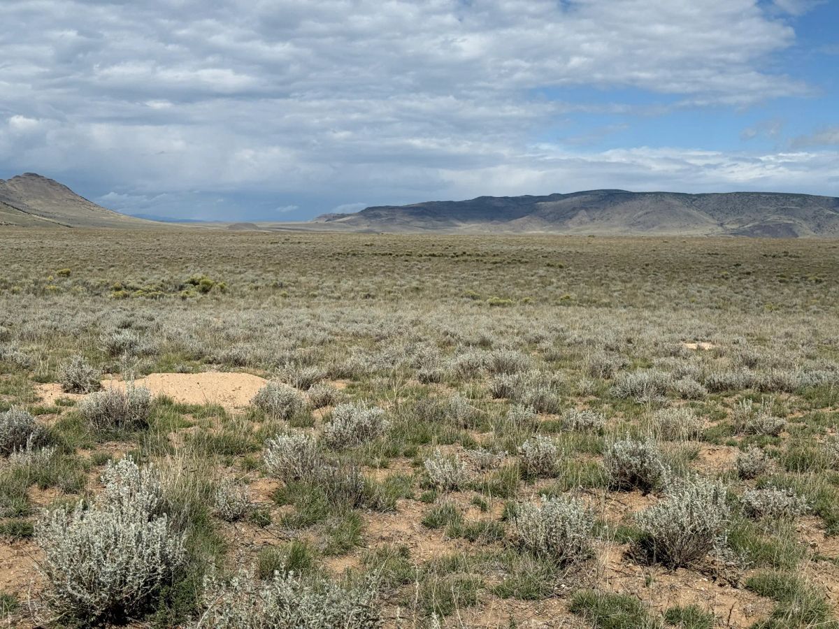 Decorative background for 5 acre Corner Lot by the Rio Grande image 24