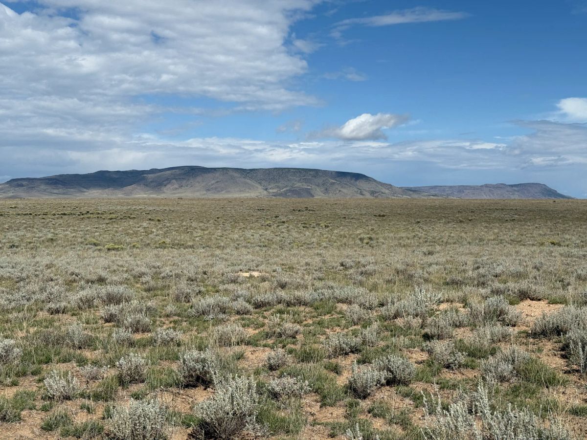 Decorative background for 5 acre Corner Lot by the Rio Grande image 25