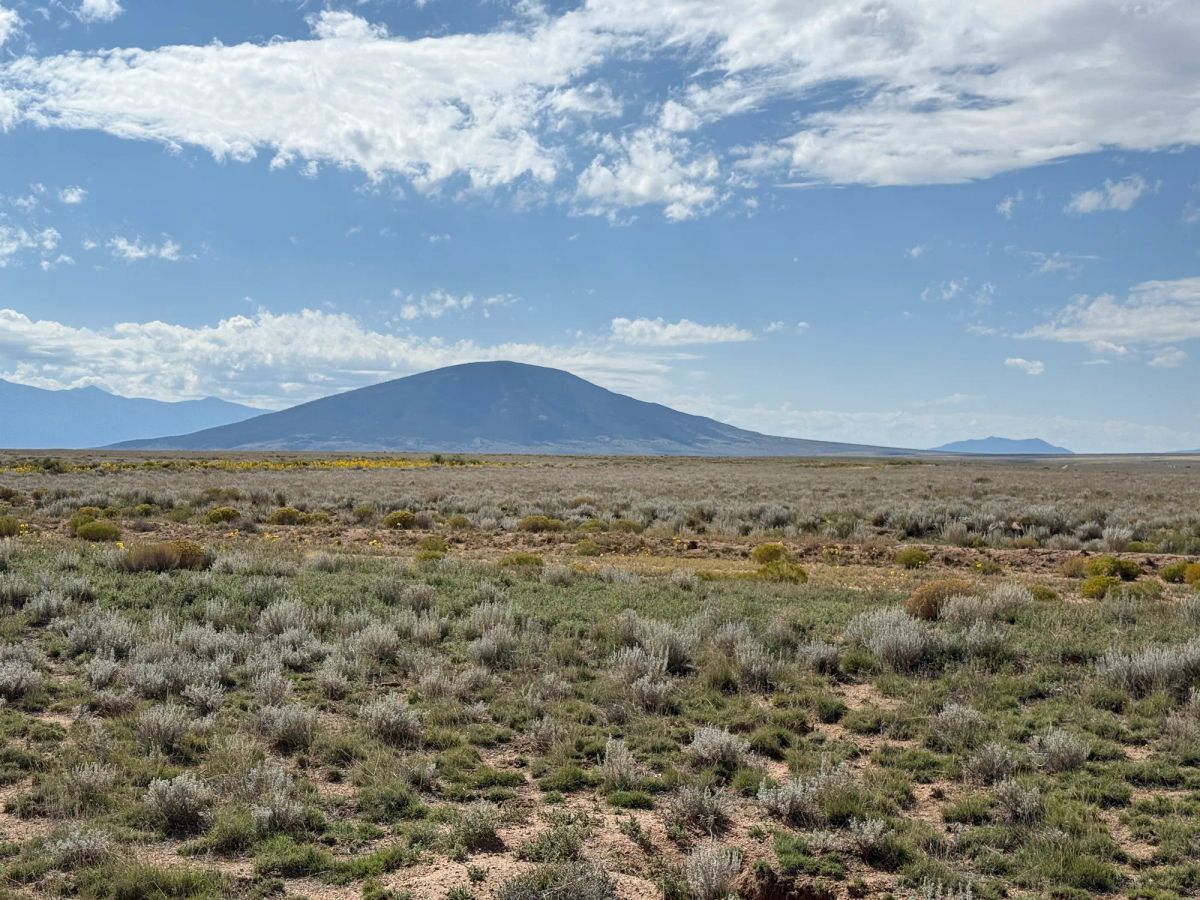 Decorative background for 5 acre Corner Lot by the Rio Grande image 26