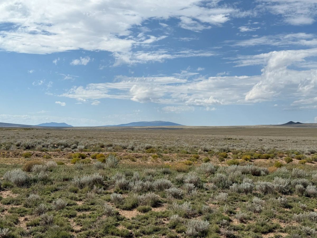 Decorative background for 5 acre Corner Lot by the Rio Grande image 27