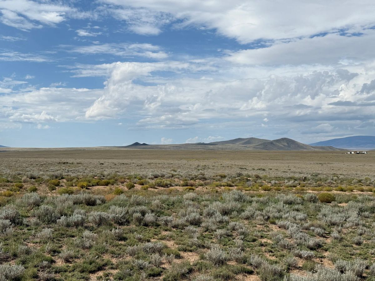 Decorative background for 5 acre Corner Lot by the Rio Grande image 28