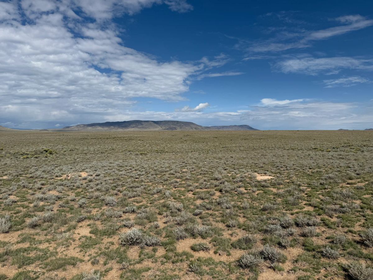 Decorative background for 5 acre Corner Lot by the Rio Grande image 29