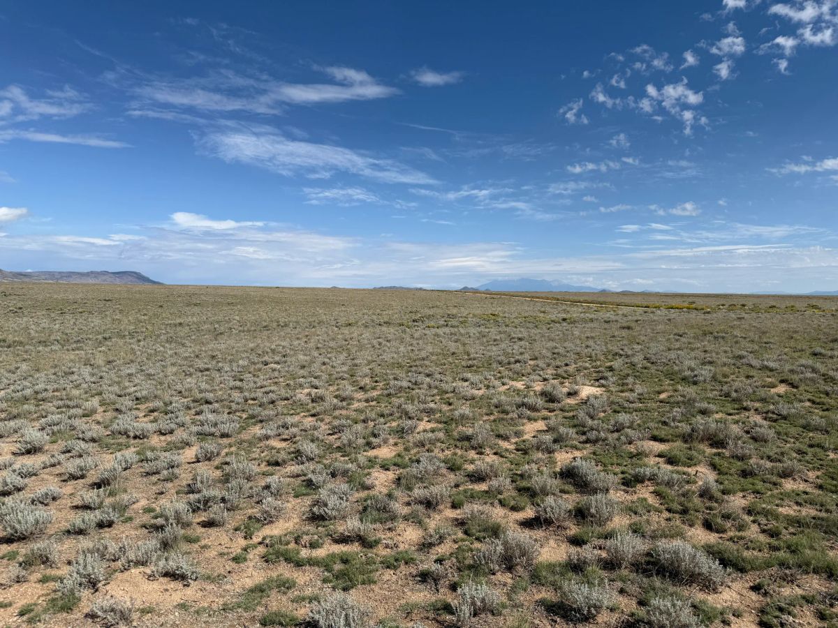 Decorative background for 5 acre Corner Lot by the Rio Grande image 30