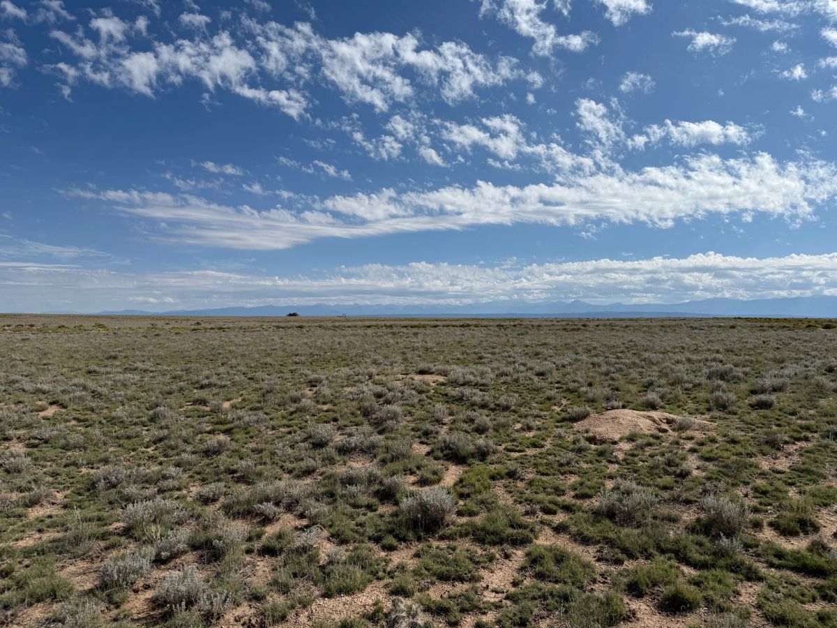 Decorative background for 5 acre Corner Lot by the Rio Grande image 31