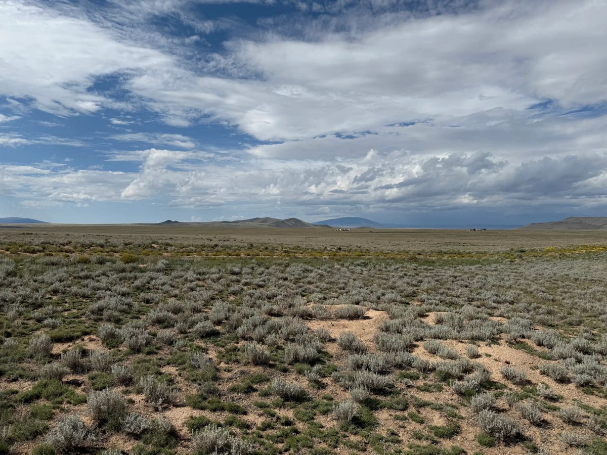 Decorative background for 5 acre Corner Lot by the Rio Grande image 32