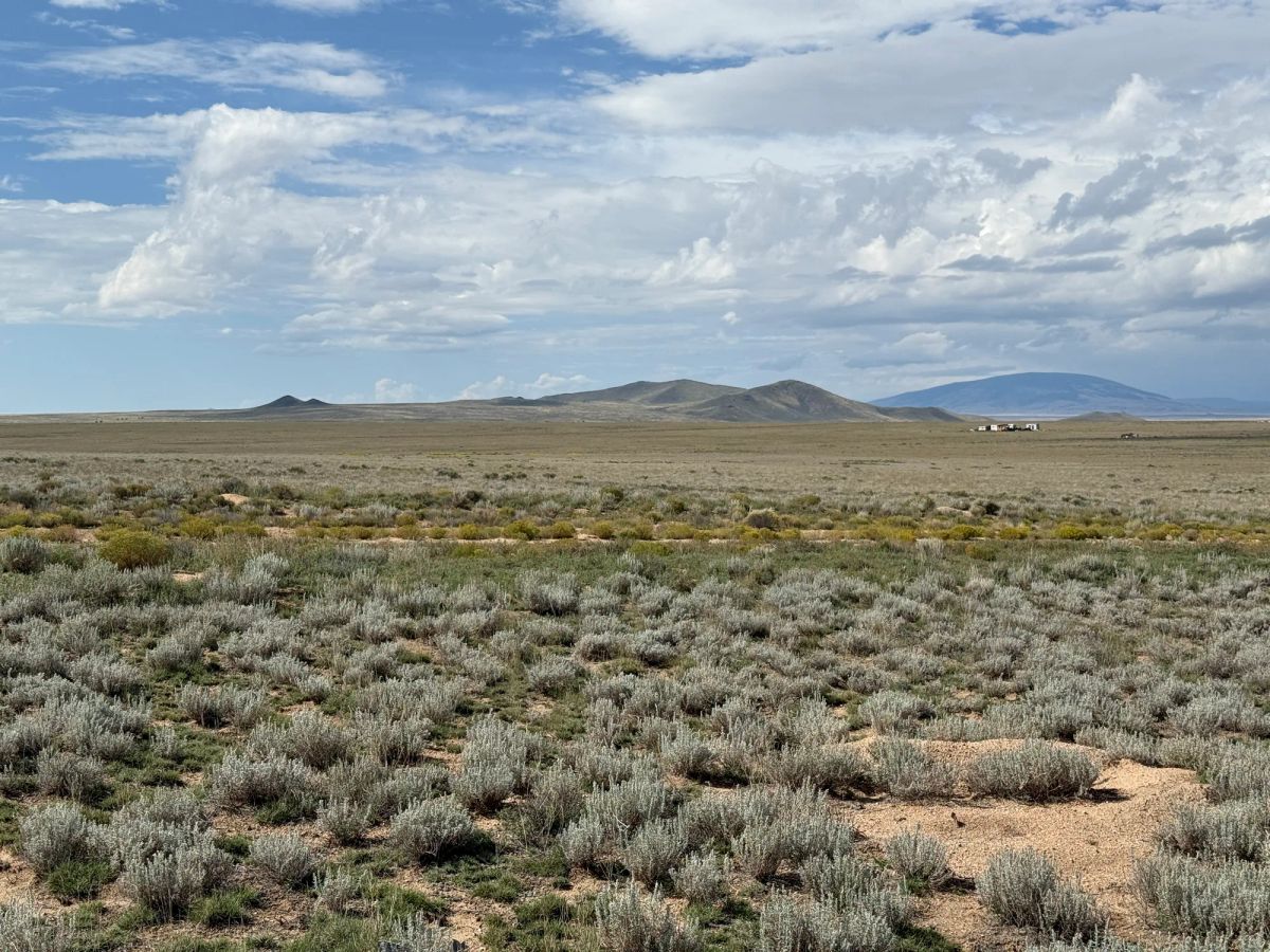 Decorative background for 5 acre Corner Lot by the Rio Grande image 33